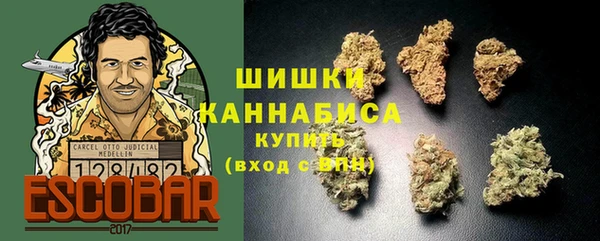 СК Михайловск