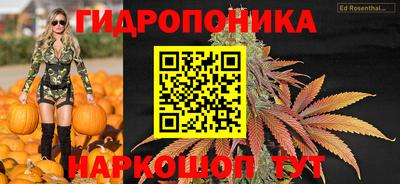 МДПВ Бийск