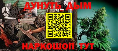 МДПВ Бийск