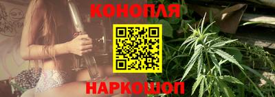 МДПВ Бийск