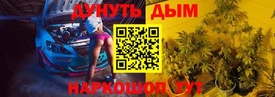 МДПВ Бийск