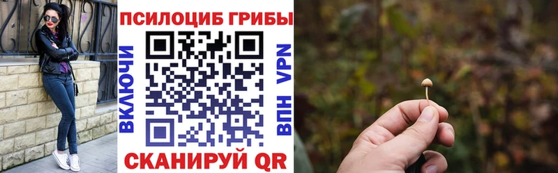 ссылка на мегу как войти  хочу наркоту  Калининград  Галлюциногенные грибы Cubensis 