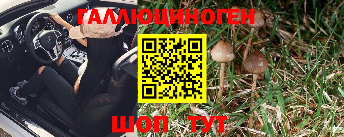 Галлюциногенные грибы GOLDEN TEACHER  Калининград  Галлюциногенные грибы ЛСД 