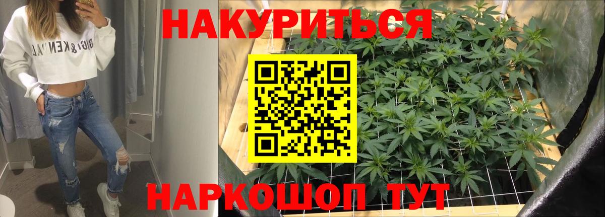 Конопля сатива Калининград